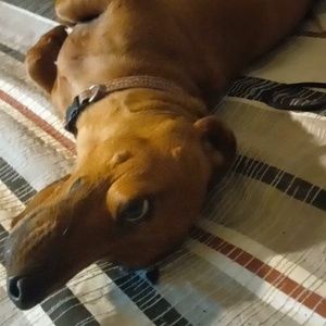 Meet your Posher, Veronica